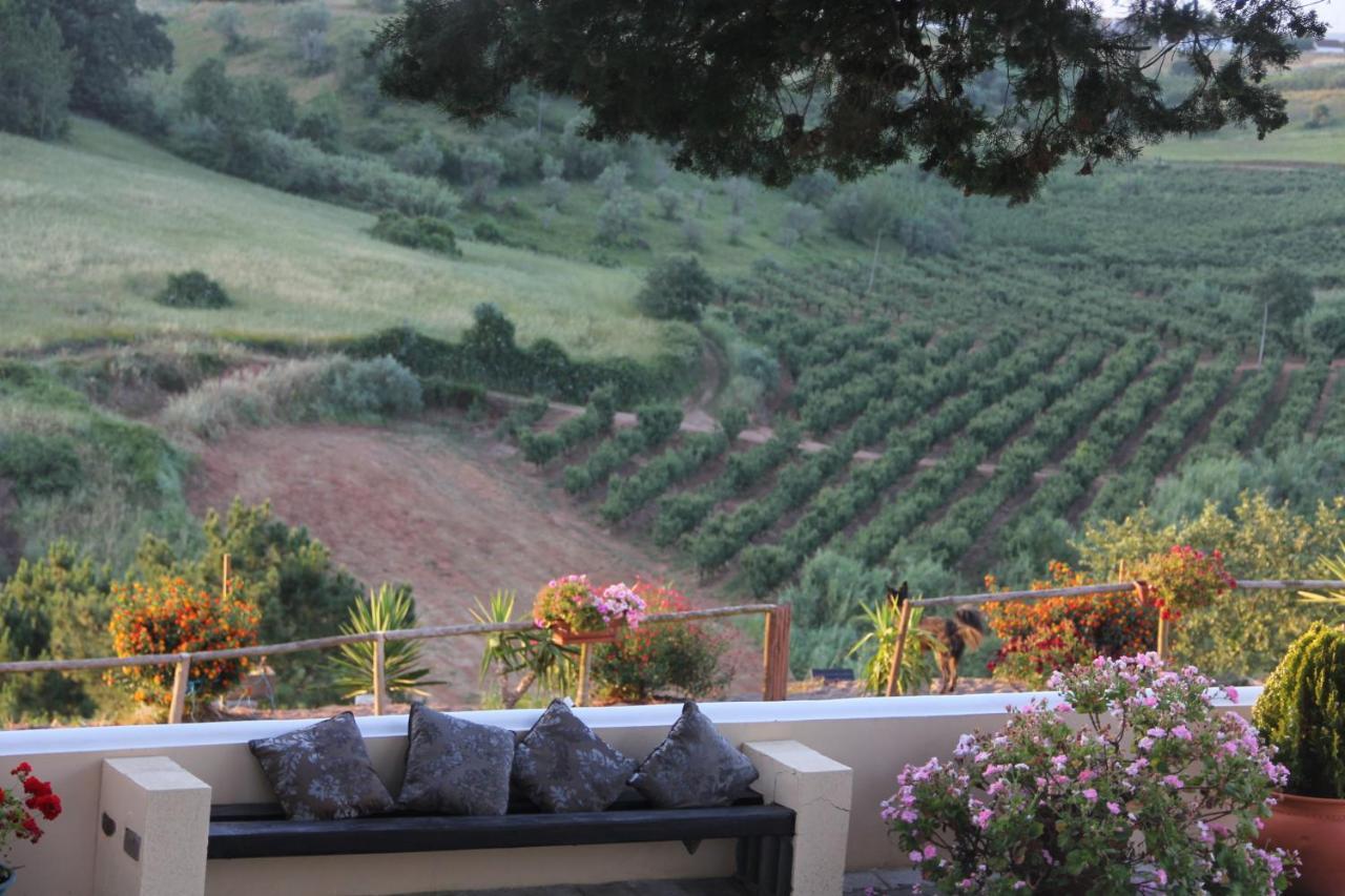 Bed and Breakfast Terra Luso Proche De Montejunto Cadaval Exterior foto